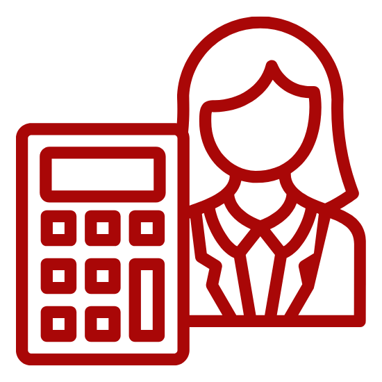 นักบัญชีมืออาชีพ